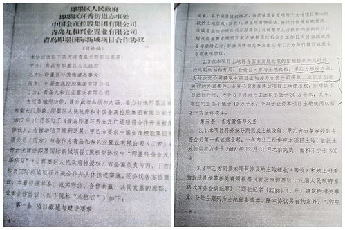 慧琴，一个名字的迷离与有可能