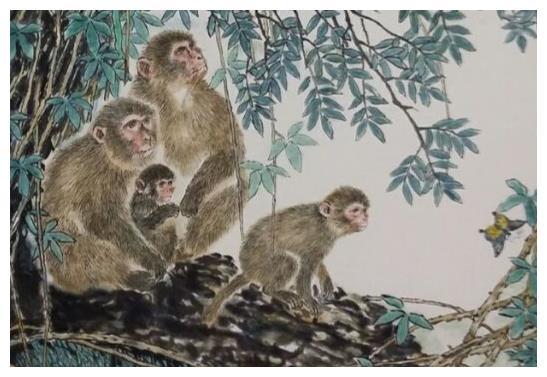 双尾六字取中段打一生肖，猴头虎尾其中取一字打一生肖，这两个问题分别是什么生肖？