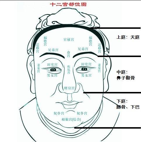 鼻梁高=年薪高？这届家长太会玩
