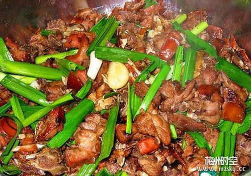 夏至岭南狗肉宴，独特食俗引关注