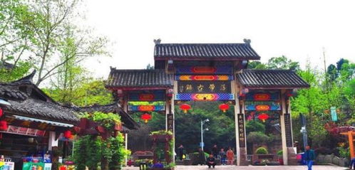 1）西门（今中山路）——“门前老树”