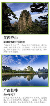 反套路生存指南