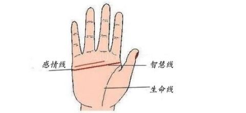 男性手相手心菱形纹婚姻线代表什么含义？