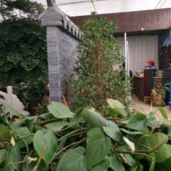 第三站：永和村采摘园的田园牧歌