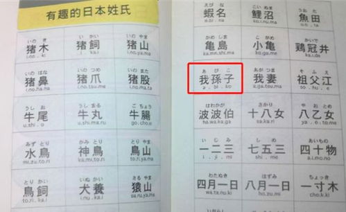 怎么把字义和音韵凑一起，给娃起一个“个性炸裂”名字？
