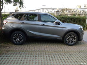 属牛的朋友：稳如泰山