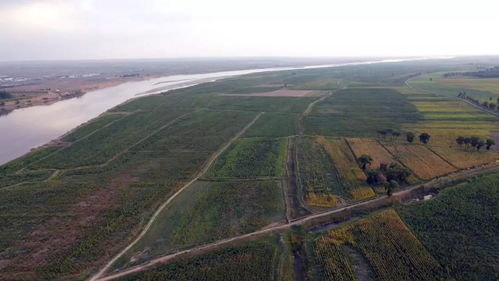 河套平原腹地,河套平原腹地