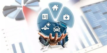 保险到期后的怪异现象：孩子去哪了？