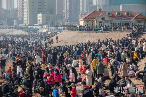 攻略五：了解历史文化（瞌睡虫唤醒计划）