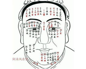 八字堪身体的运势准吗,八字堪身体好不好