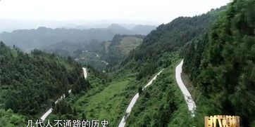 穿越古道：达蓬山的多元路径 (我走错了路好几次…)
