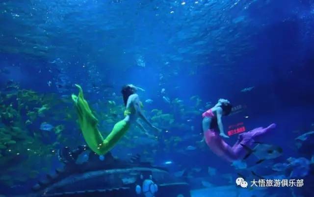 蓬莱海洋世界：神秘浪漫的仙境