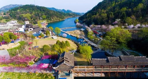 锦里沟门票省钱攻略大揭秘！2026年运势加持玩法