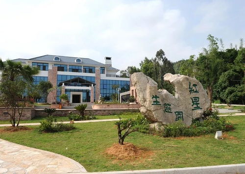 门票市场价格：性价比爆表的亲民选择