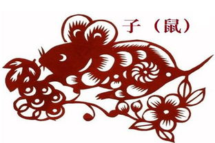 农历1984年属鼠的人免费命理测试准确性究竟有多高？