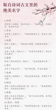 听着就很假大空的名字