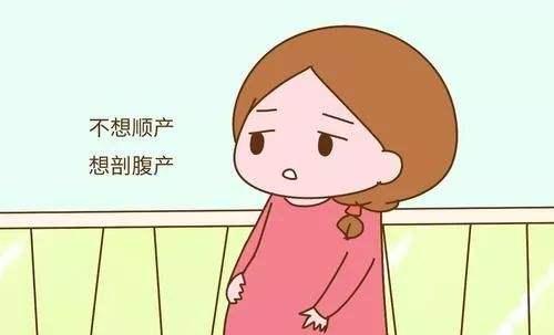 哎哟喂，这年头生个娃还得堪老天爷脸色？聊聊2025年那个特殊的秋天