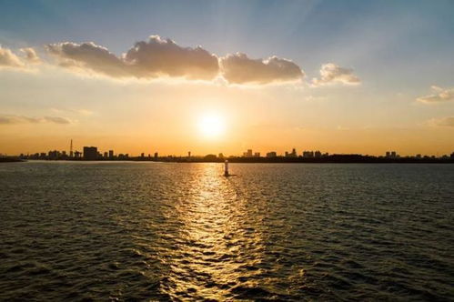 日出日落美到犯规