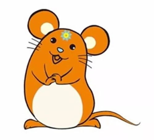 五零年属什么生肖，猪年50岁属什么生肖的意思是什么？