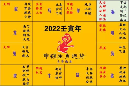 2022年十二生肖每日运势详解，今日运势具体是什么含义？