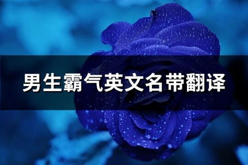 嘿，你这破网名，也太没天分了吧！