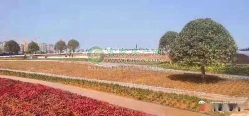富阳街头新主题花园，遛娃拍照打卡胜地，爆款旅游必去！