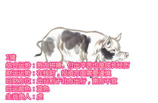 生肖相克：动物界的恩怨情仇