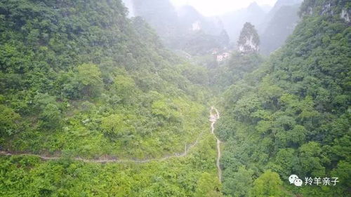 格凸河景区：原始与宁静