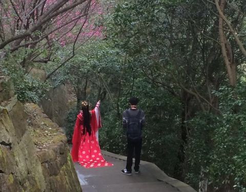周边景点和旅游攻略