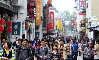 交通乱象：自驾游需谨慎