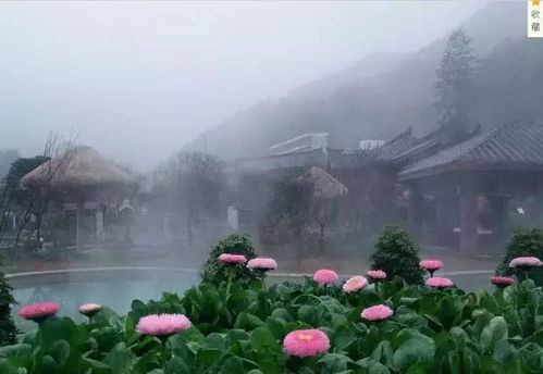 四、天星小镇（灯光秀真花哨！）
