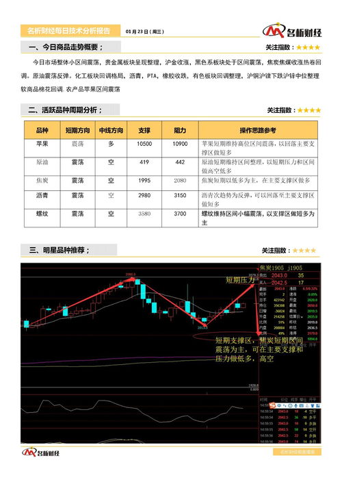 王峰名字评分分析报告