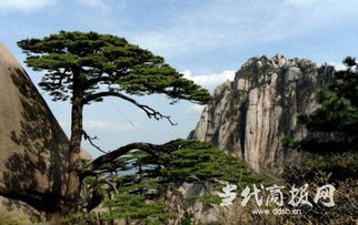 国庆期间黄山景区涨价引发游客担忧