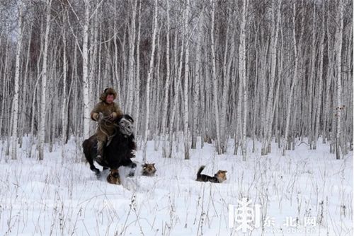 鄂伦春风情：原始部落生活，民族特色风俗