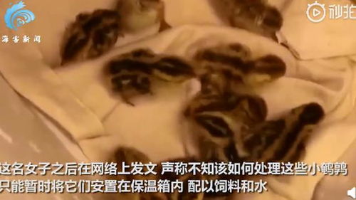 迷失在蒸汽中的灵魂拷问：我们到底是为了什么而流汗？