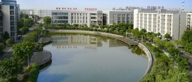 行路建设的先锋：西南行路巨大学