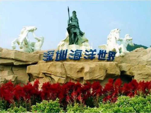 深圳大妈教你薅羊毛实战手册