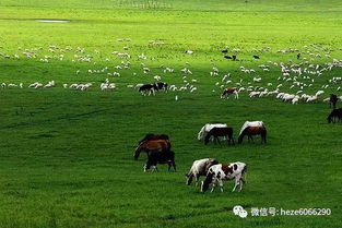 三、 跨越千里——自驾冲向赤峰草原