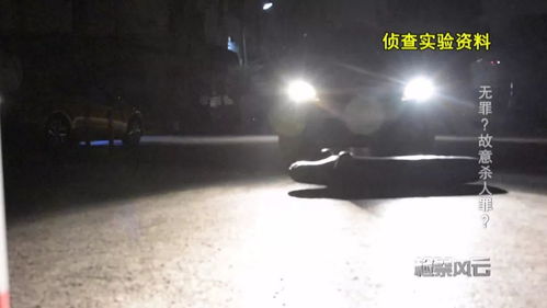 生肖的冲撞与纠缠