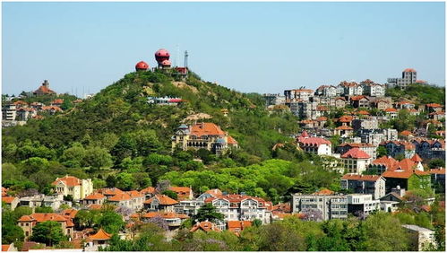 信号山：青岛最坑爹的网红打卡地？