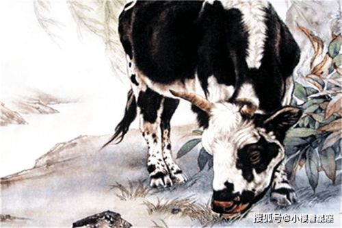 哪些生肖在公共场合秀恩爱时容易把握不住尺度？