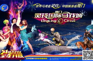 厦门灵玲的套路深似海