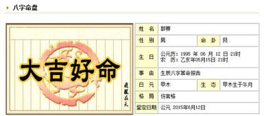 1995年1月6日中午12点30分出生的人，生辰八字是什么？