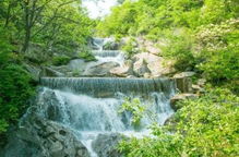 湖北较大悟地区——不同口味与价位混合体验。