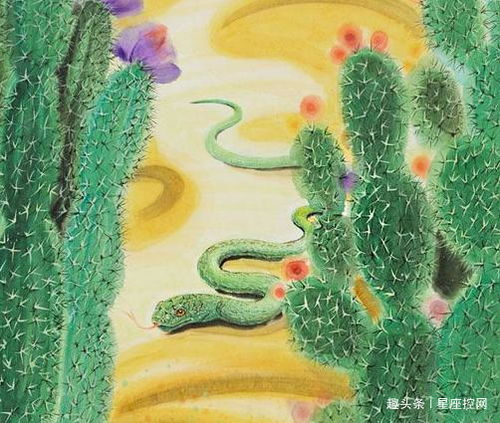 属蛇属龙装修房子选什么颜色能体现他们的性格特点？