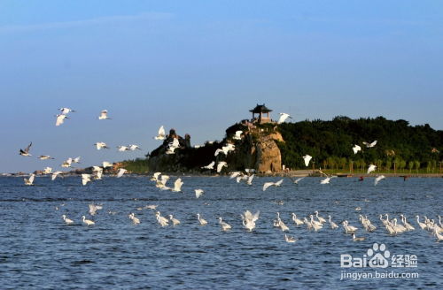 秦皇岛东港里旅游体验：一场令人窒息的灾难