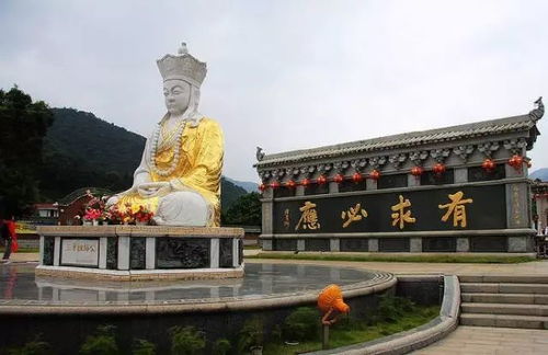 噪音较小插曲：免费政策的迷雾