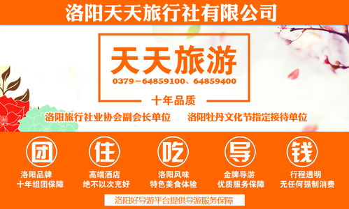 我们为您精心挑选的三家“实力派”中介