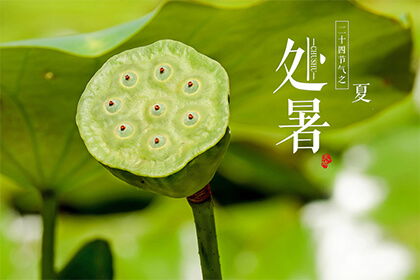 处暑风俗，传统节气魅力，揭秘古韵时光