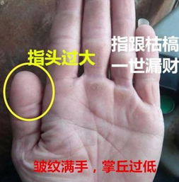 手相拇指过长男性容易成功吗？